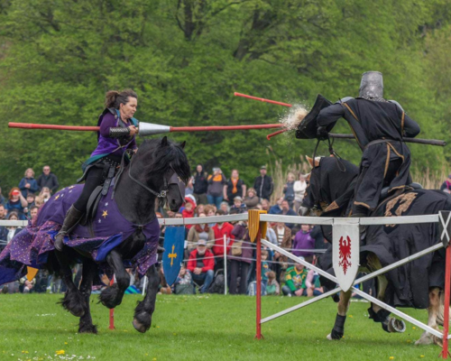 Knights of Albion Joust