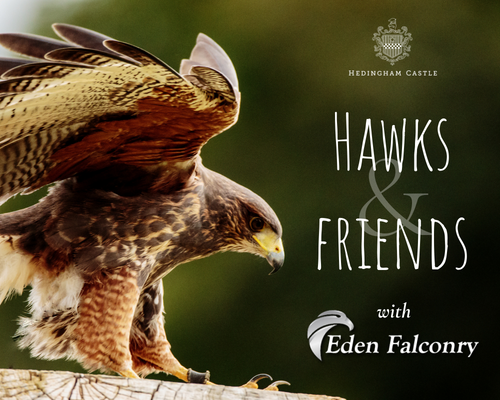 Hawks and Friends