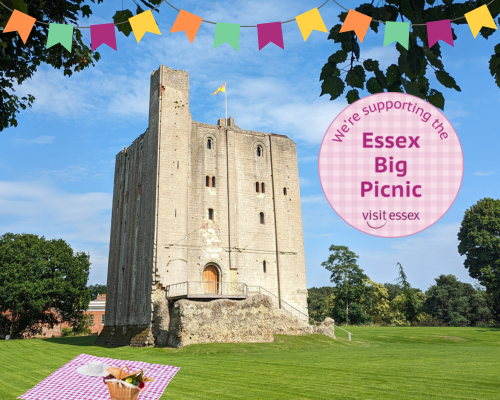 Essex Big Picnic
